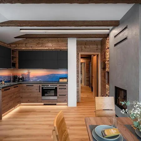 Wellness Apartmany Barth Holiday Dolní Morava Exterior photo