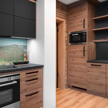 Wellness Apartmany Barth Holiday Dolní Morava Exterior photo
