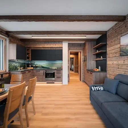 Wellness Apartmany Barth Holiday Dolní Morava Exterior photo