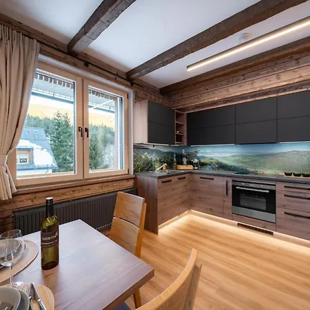 Wellness Apartmany Barth Holiday Dolní Morava Exterior photo